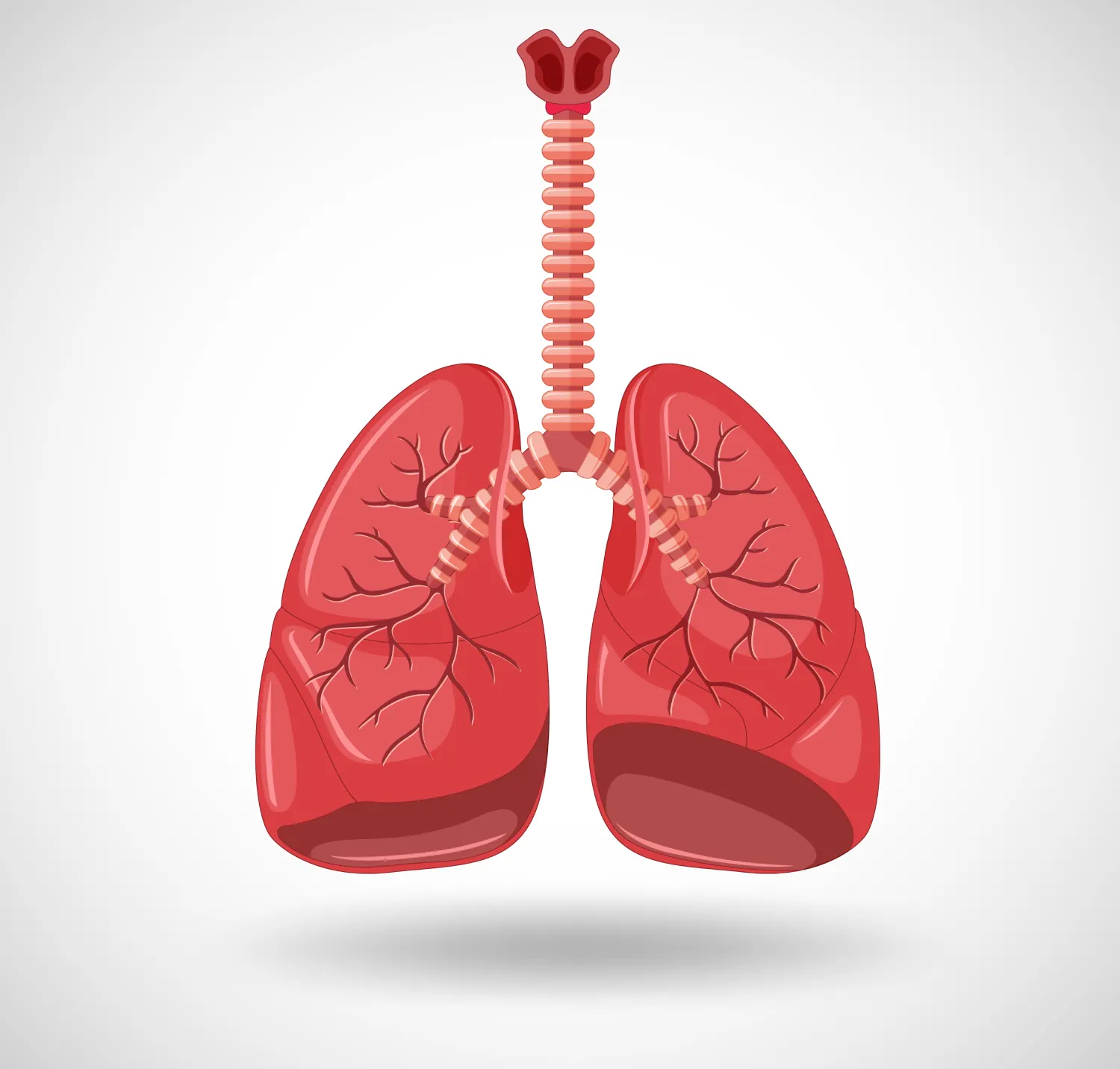 Ilustração Saúde Respiratória: doenças e cuidados 